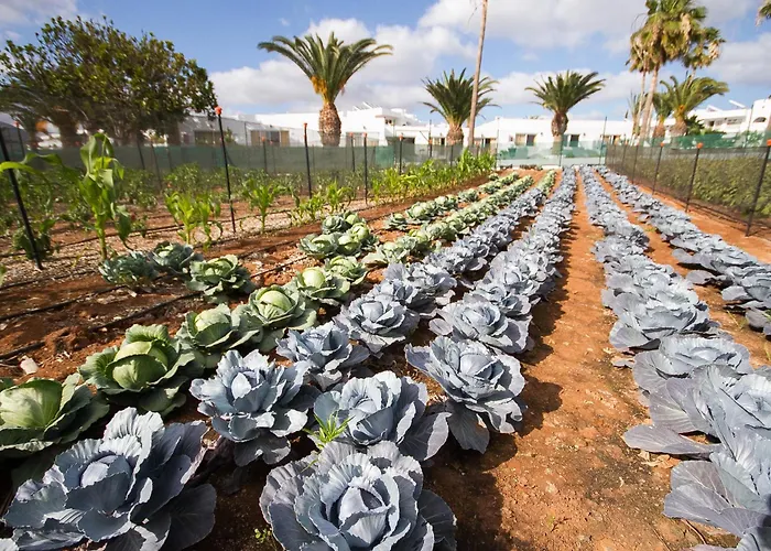 Floresta Апарт-отель Пуэрто дель Кармен