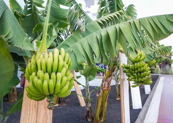 Floresta Апарт-отель 3*