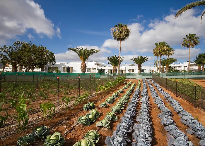 Floresta Апарт-отель 3*