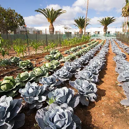 Floresta Aparthotel Puerto del Carmen (Lanzarote)